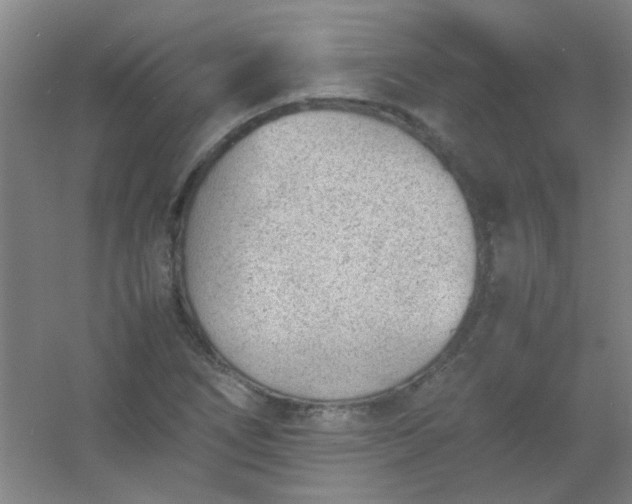 X0000054431266200508121809