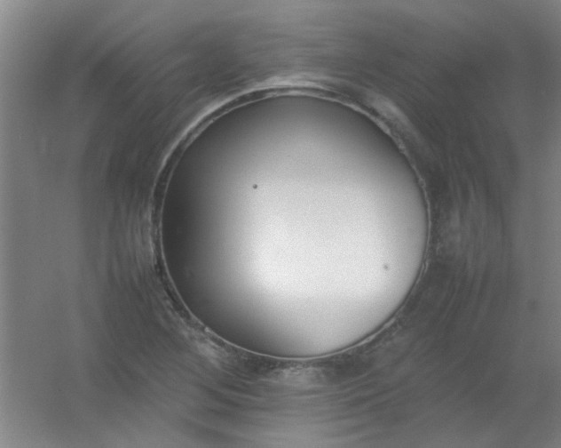 X0000054431268200508121809