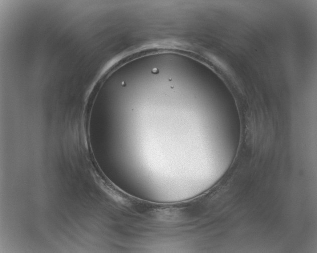 X0000054431272200508121809