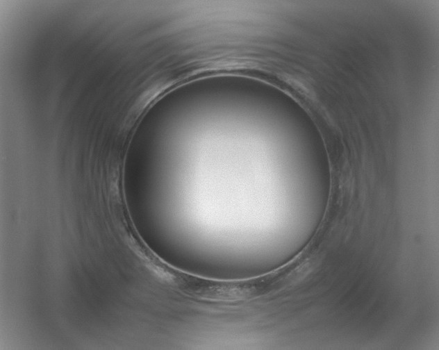 X0000054431273200508121809