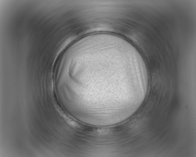 X0000054431274200508121809