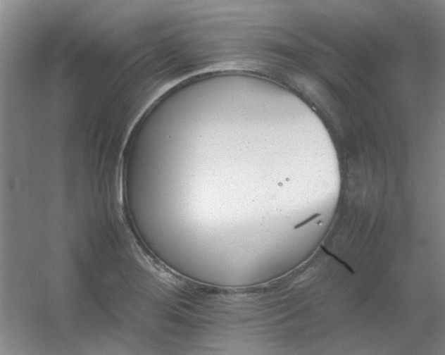 X0000054431276200508121809