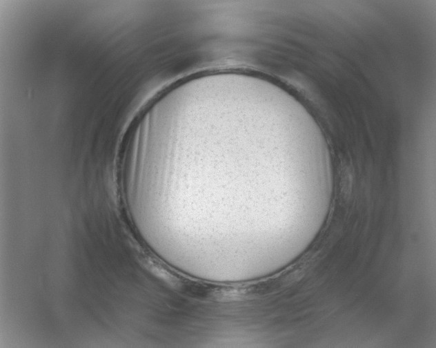 X0000054431278200508121809