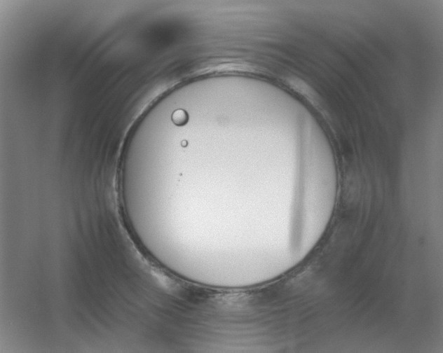 X0000054431282200508121809