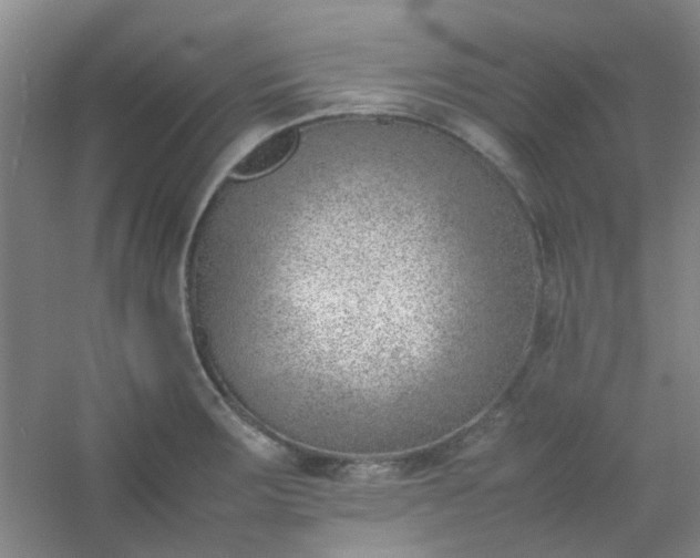 X0000054431283200508121809