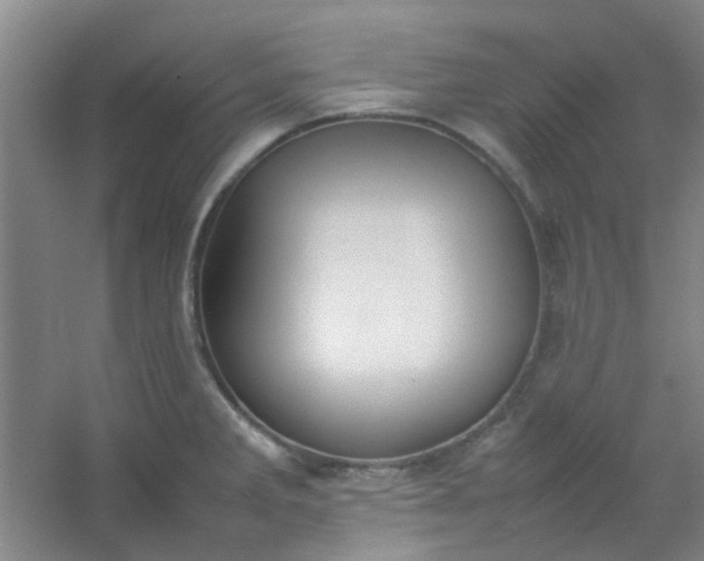 X0000054431285200508121808