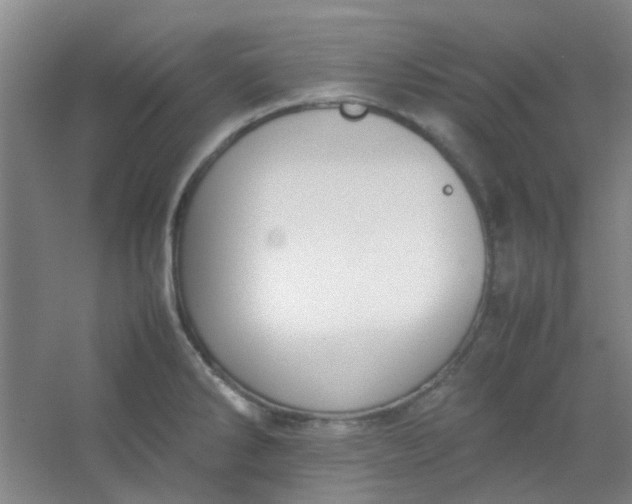 X0000054431286200508121808