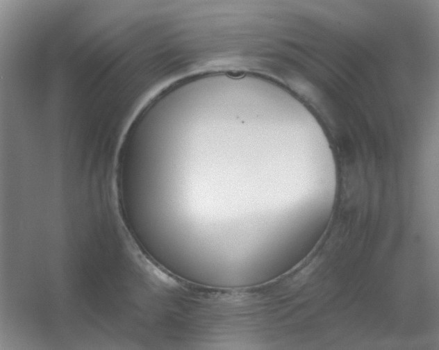 X0000054431288200508121808