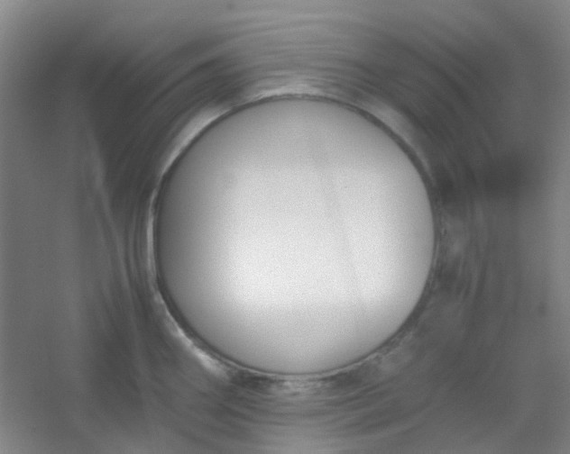 X0000054431290200508121808