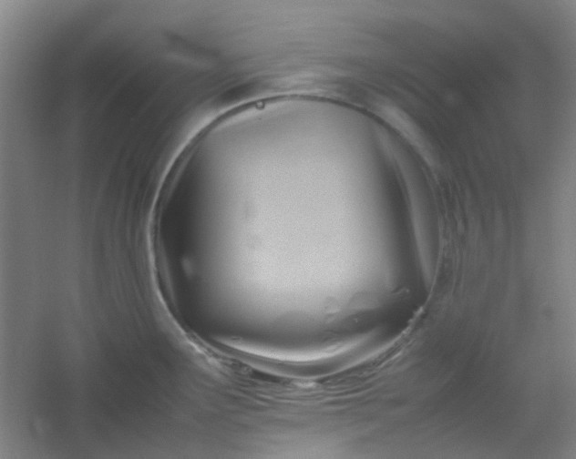 X0000054431291200508121808