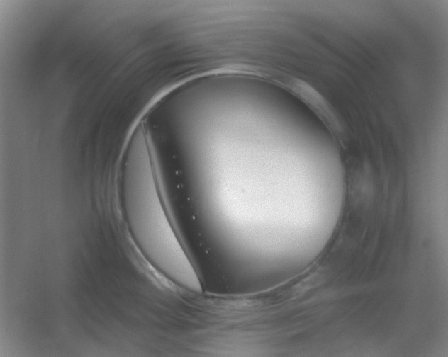 X0000054431292200508121808