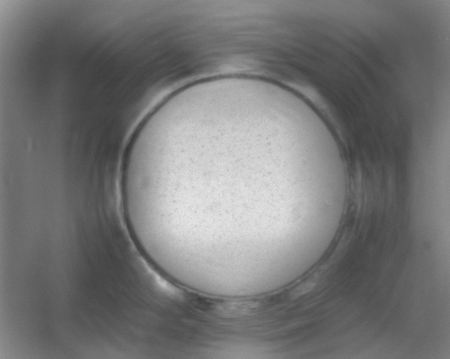 X0000054431294200508121808