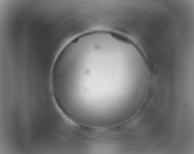 X0000054431295200508121808