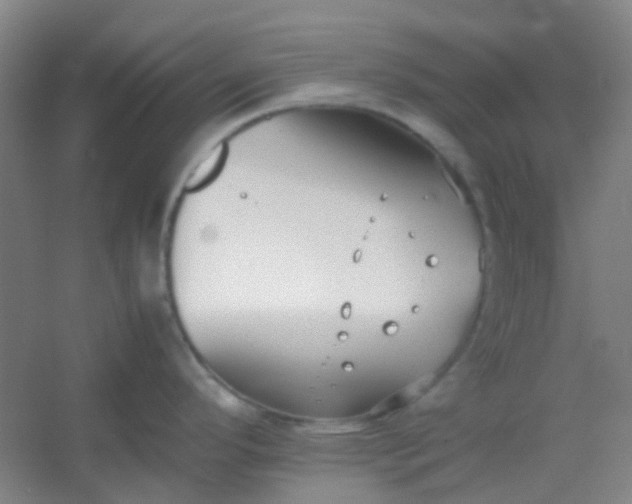 X0000054431296200508121808