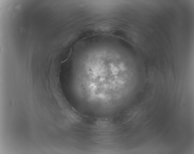 X0000054431297200508121807