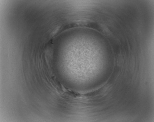 X0000054431298200508121807