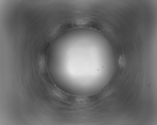 X0000054431299200508121808