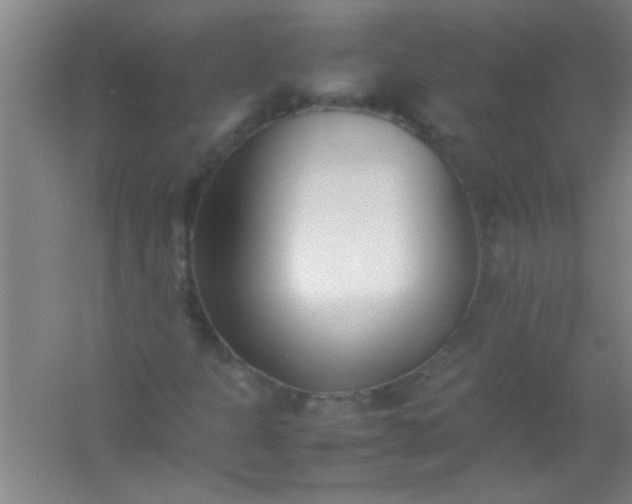 X0000054431301200508121808