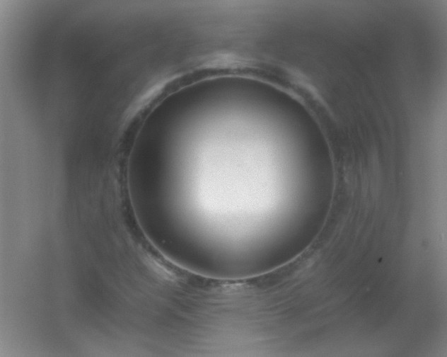 X0000054431304200508121808