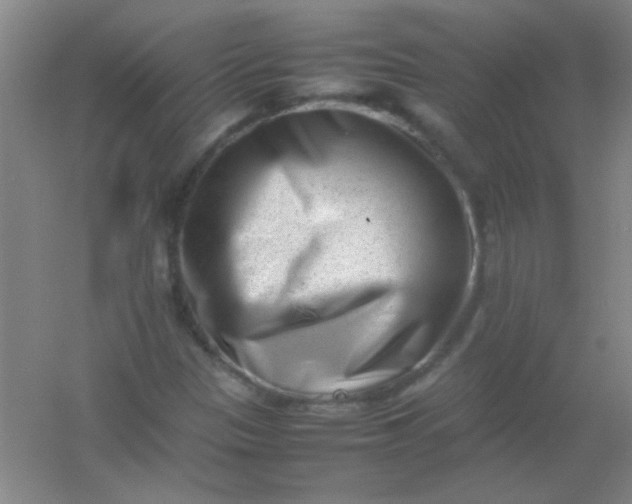 X0000054431305200508121808