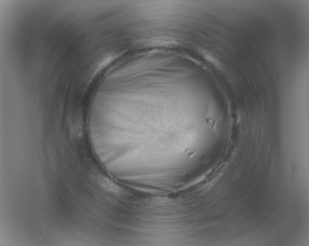 X0000054431306200508121808