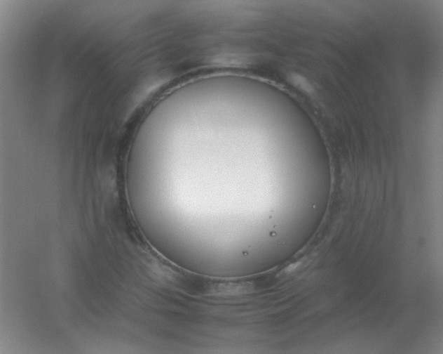 X0000054431307200508121808