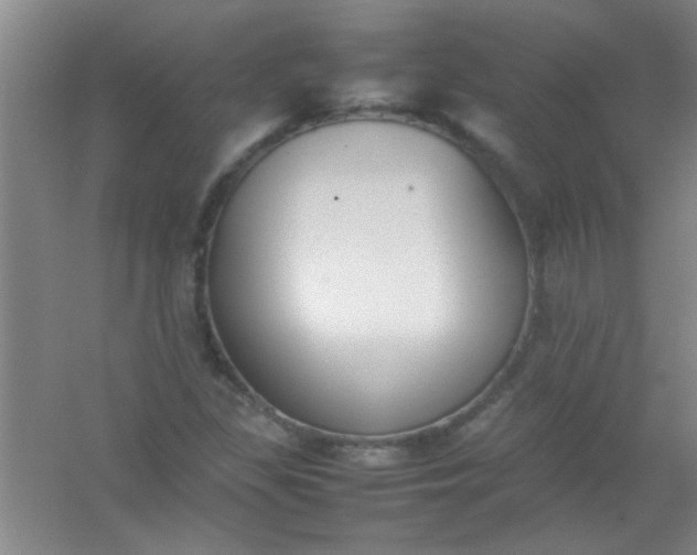 X0000054431309200508121808