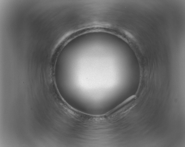 X0000054431310200508121808