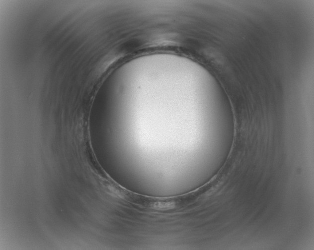 X0000054431313200508121808