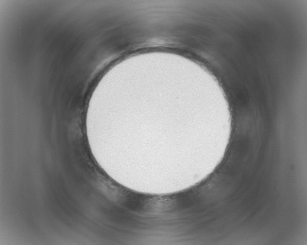 X0000054431314200508121808