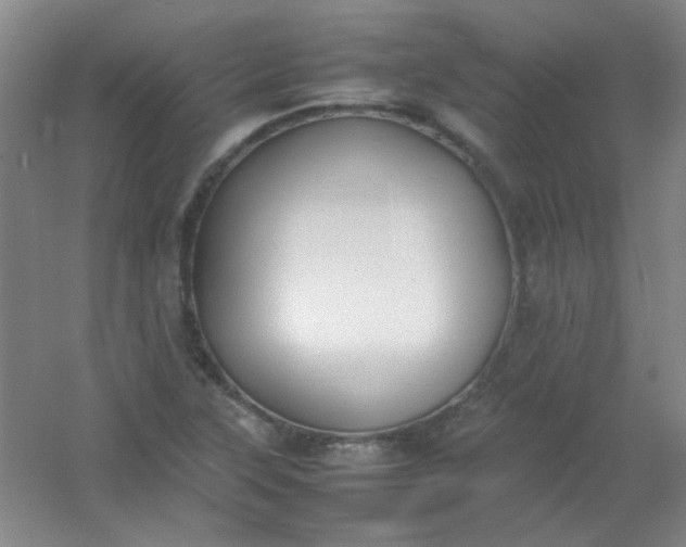 X0000054431315200508121808