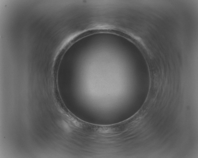 X0000054431319200508121808