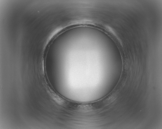 X0000054431320200508121808