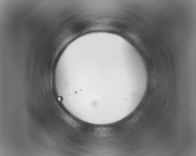 X0000054431322200508121808