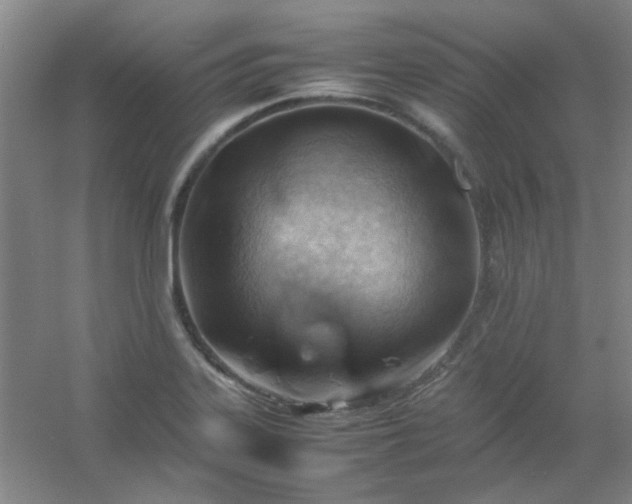 X0000054431323200508121808