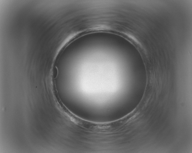 X0000054431325200508121808