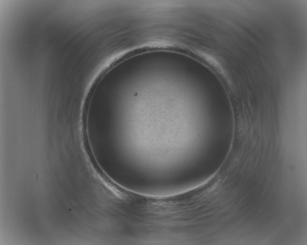 X0000054431327200508121808