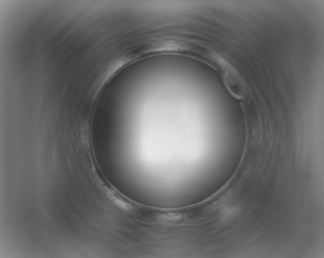 X0000054431329200508121808