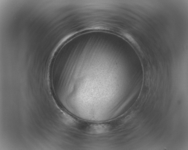 X0000054431331200508121808