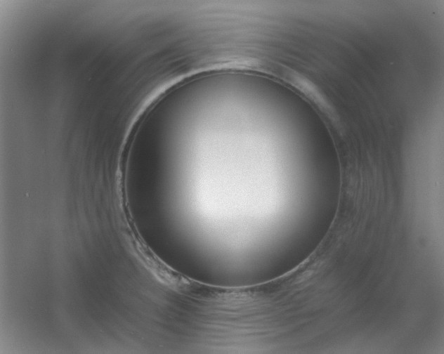 X0000054431332200508121808