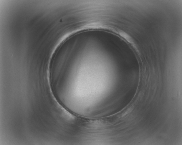 X0000054431334200508121808