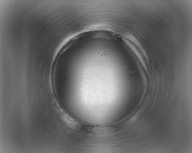 X0000054431336200508121808