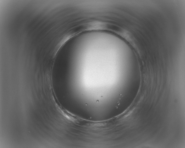 X0000054431337200508121808