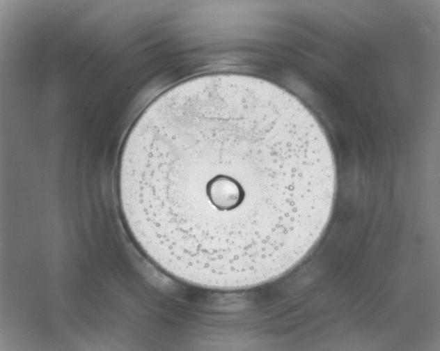 X0000054431338200508121808