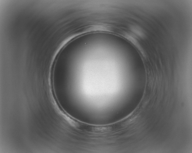 X0000054431339200508121808