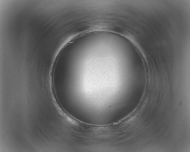 X0000054431341200508121808