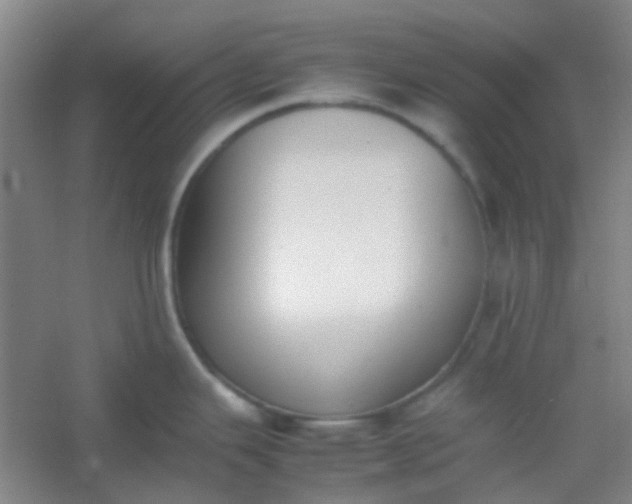 X0000054431343200508121808