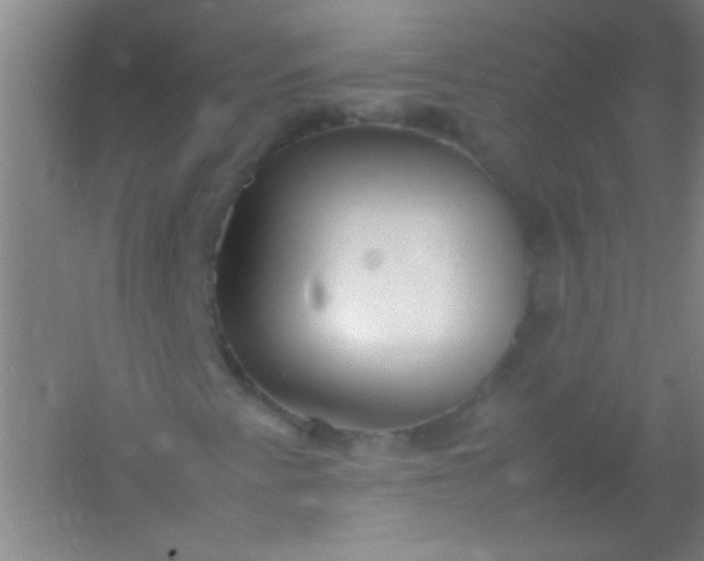 X0000054431345200508121807