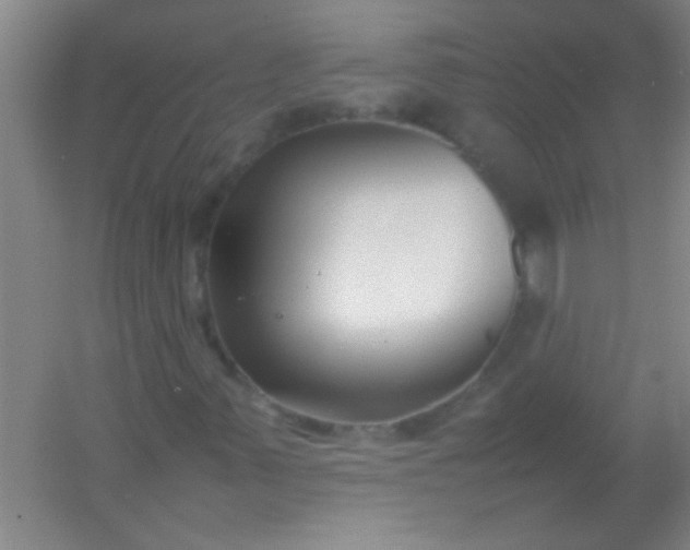 X0000054431347200508121807