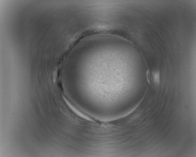 X0000054431348200508121807